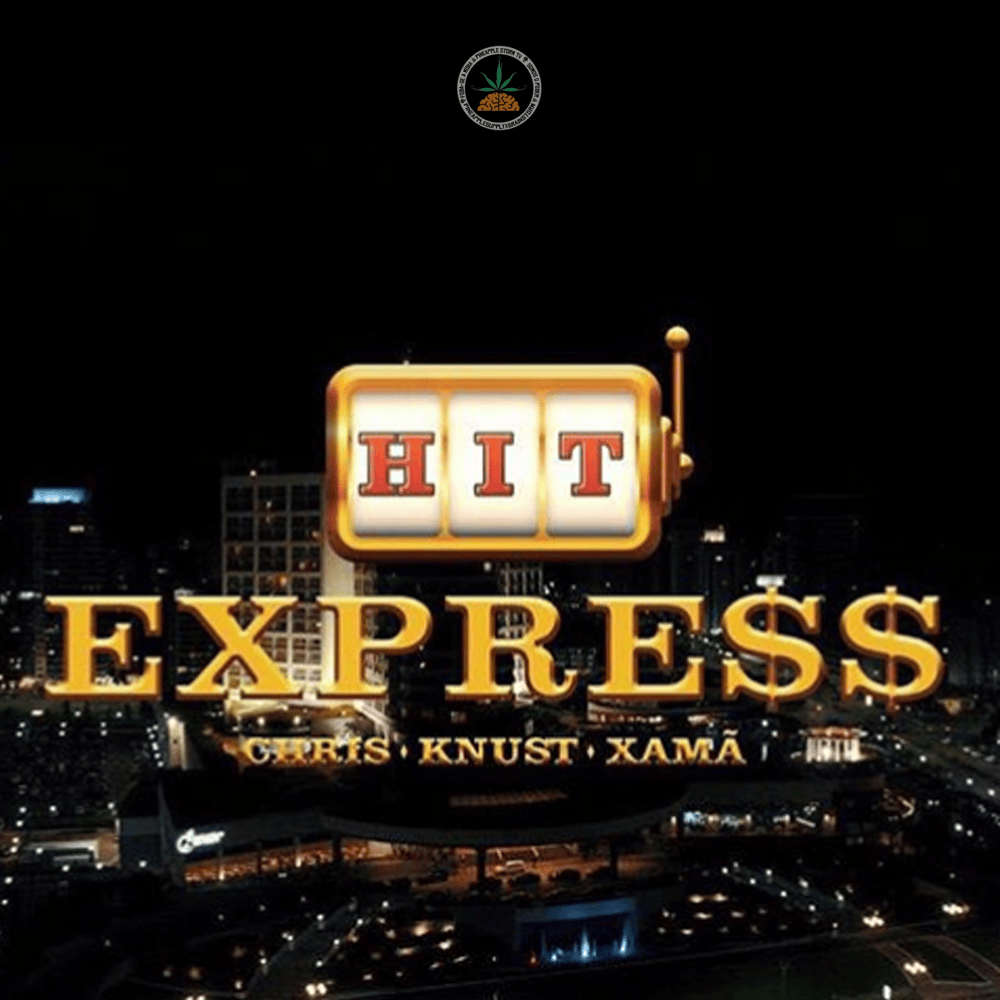 Album cover art for "Hit Express" by Chris MC