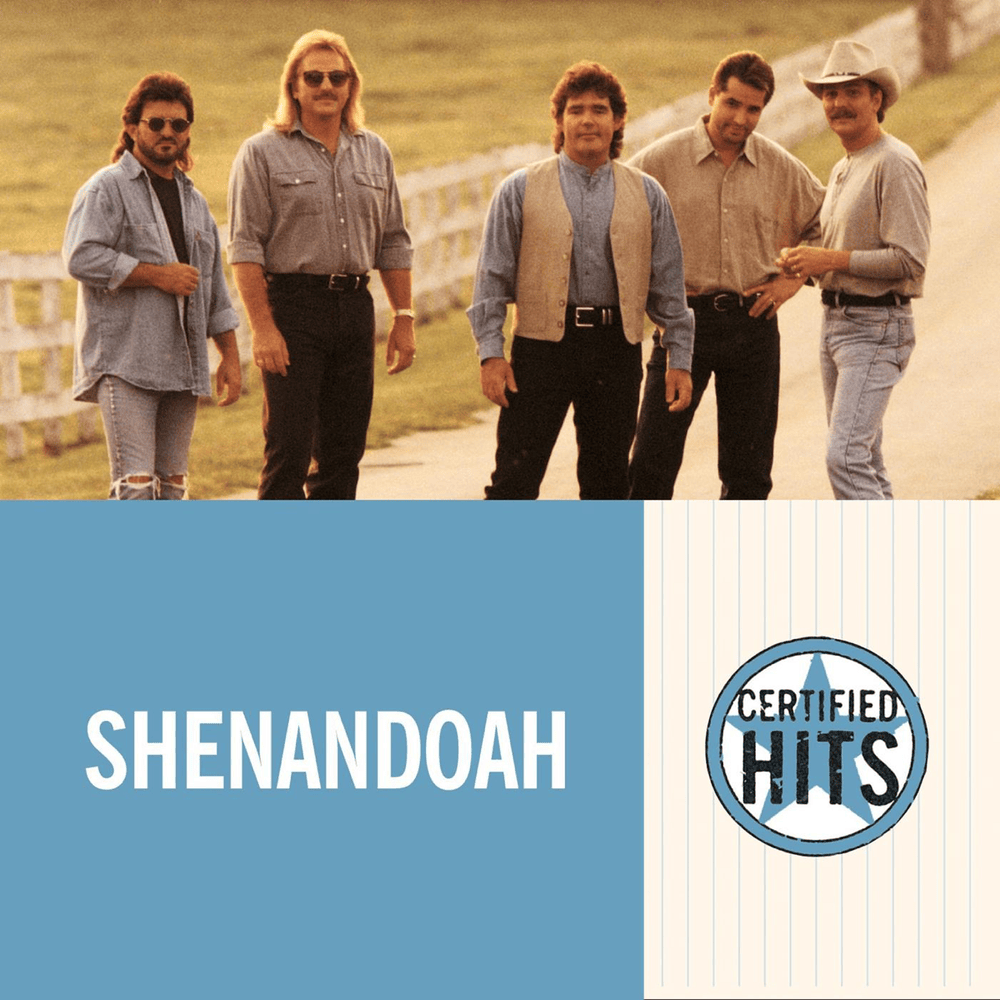 Cover image for Certified Hits