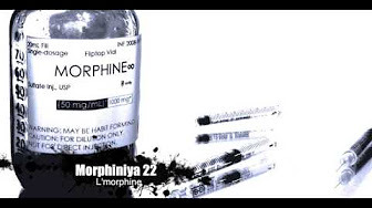 Album cover art for "L’Morphiniya 22" by L’Morphine