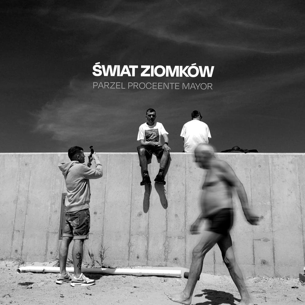 Cover image for Świat Ziomków