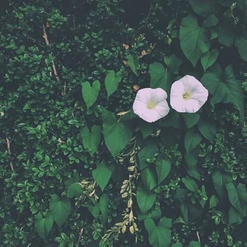 All Good Things Come to an End. by ​fantompower