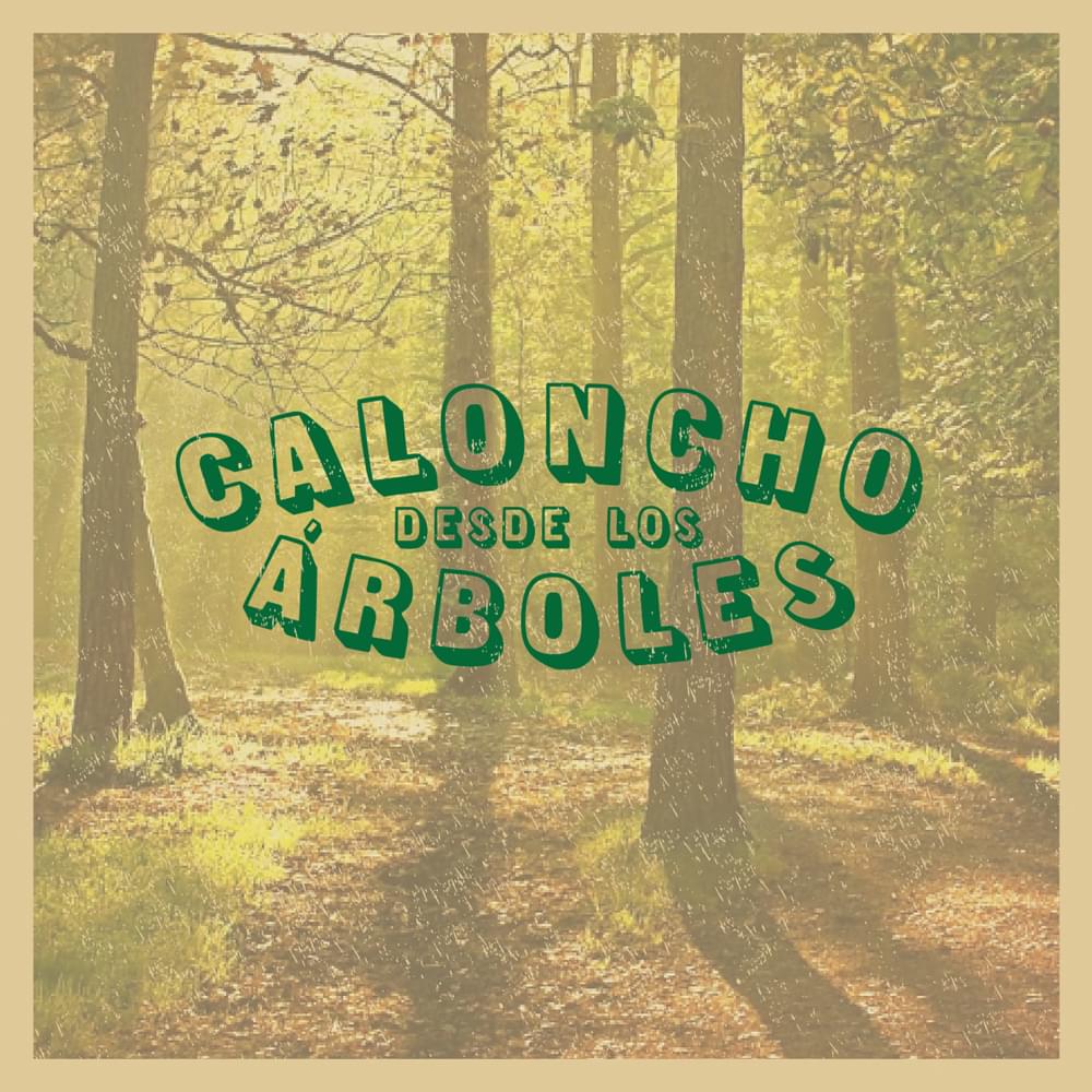Cover image for Desde Los Árboles (En Directo desde El Desierto)