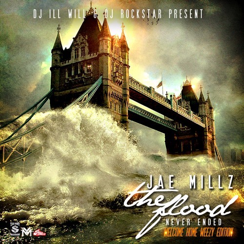 Cover image for The Flood Never Ended