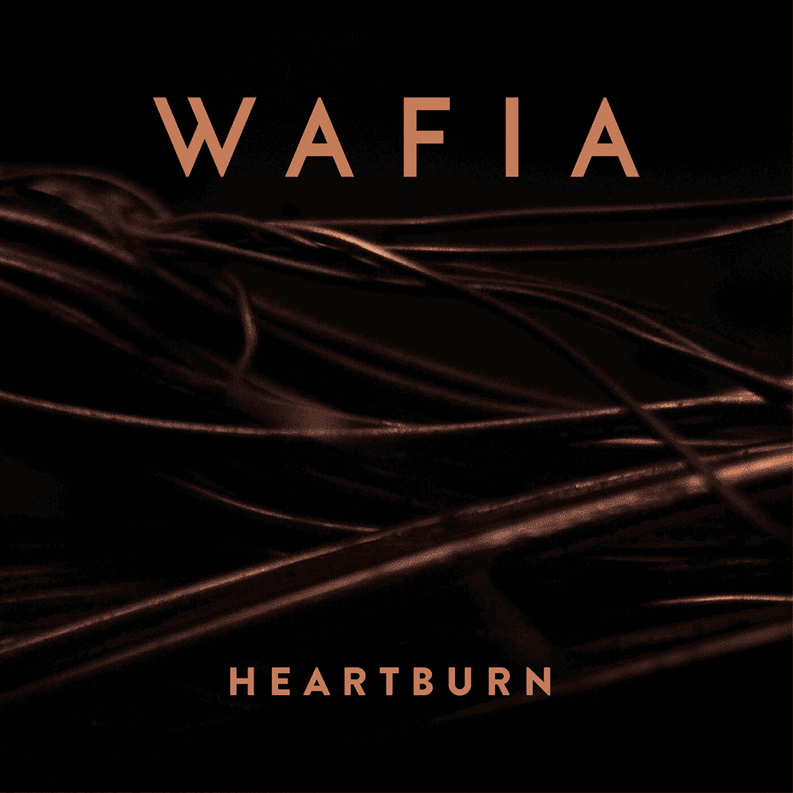 Heartburn by Wafia