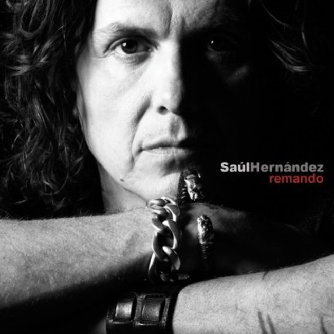 Cover image for Remando