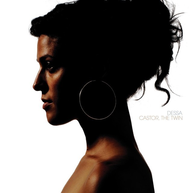 Cover image for Castor, the Twin