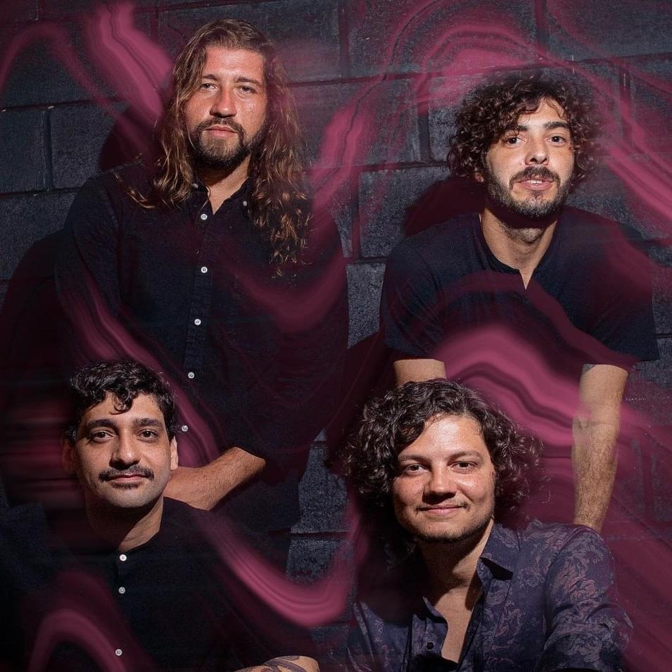 Selvagens à Procura de Lei Profile Picture Photo of Selvagens à Procura de Lei