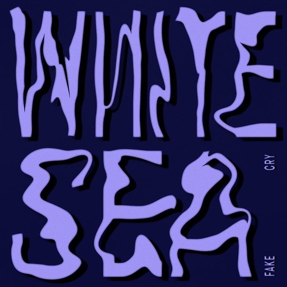 Cover image for Fake Cry - Single
