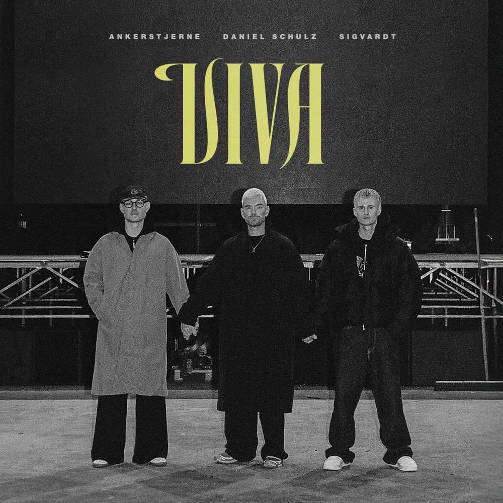 Album cover art for "Viva" by Ankerstjerne