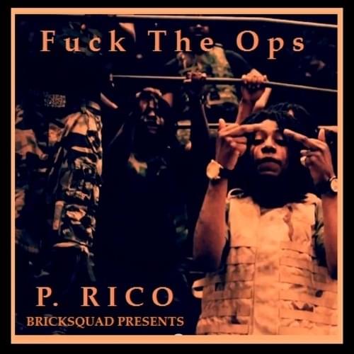 Cover image for Fuck The Ops