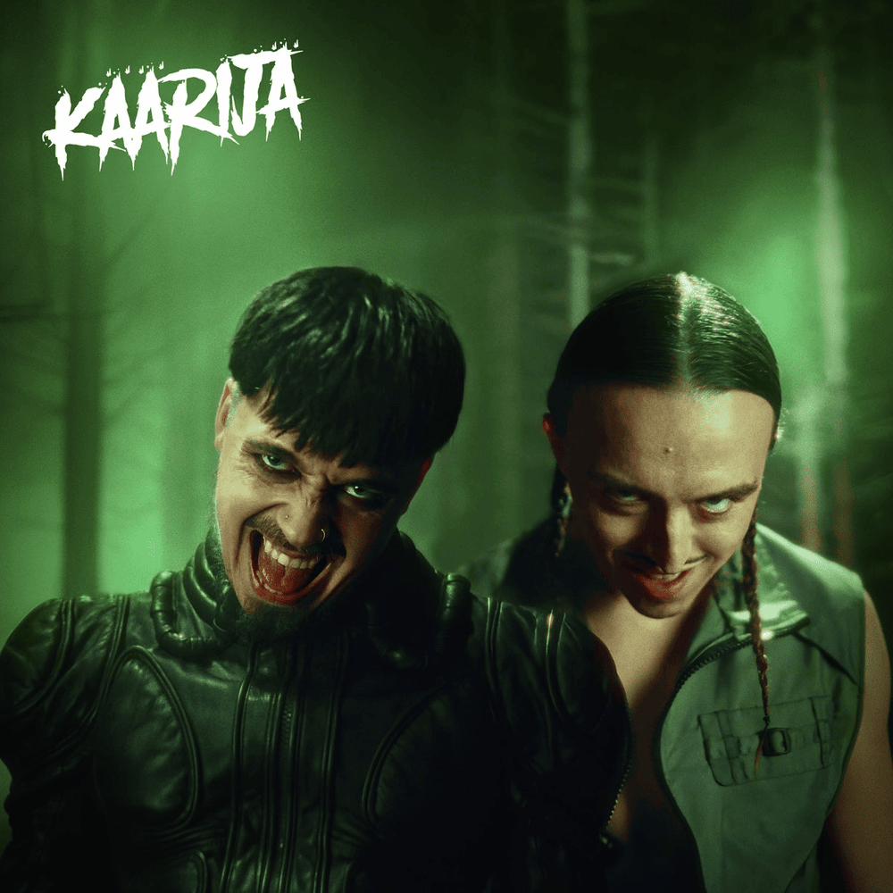 It’s Crazy It’s Party by Käärijä
