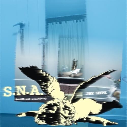 Cover image for S.N.A.