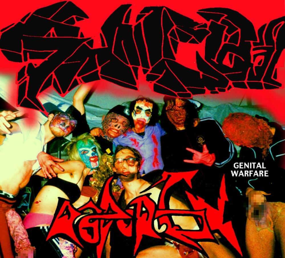 Cover image for Genital Warfare