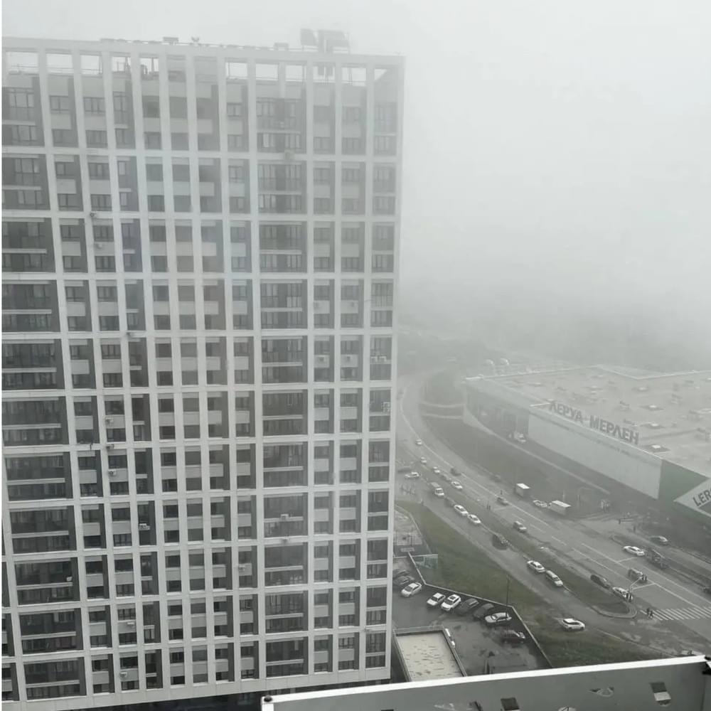 Album cover art for "because no one understood you" by Xxer