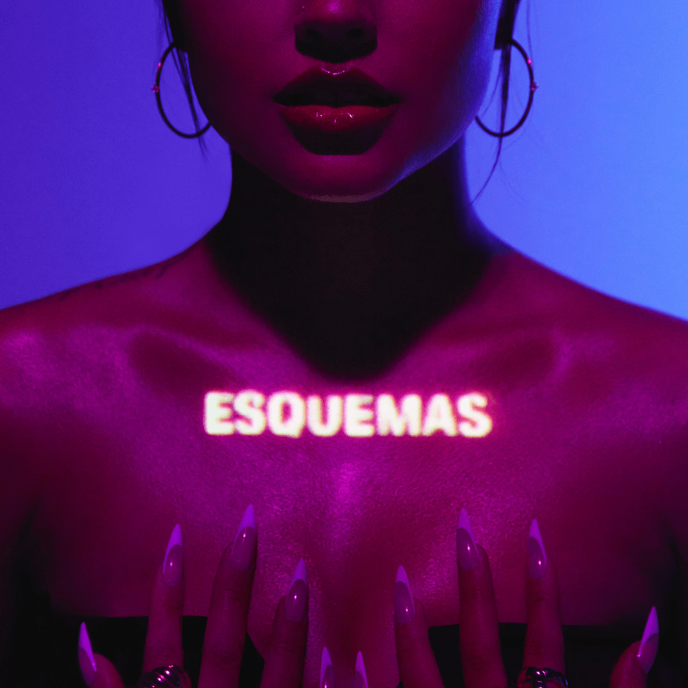 Cover image for ESQUEMAS