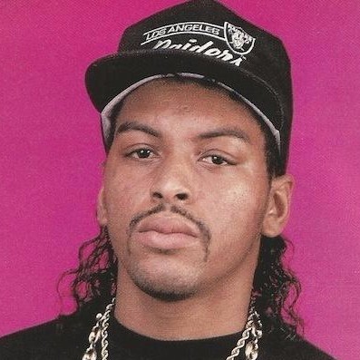 Cover image for Arabian Prince