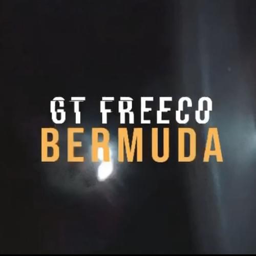 Album cover art for "Bermuda" by Freeco