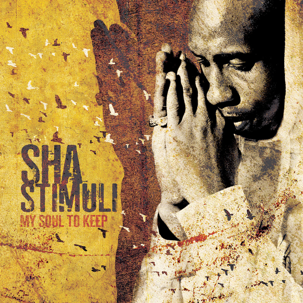 So Much More by Sha Stimuli