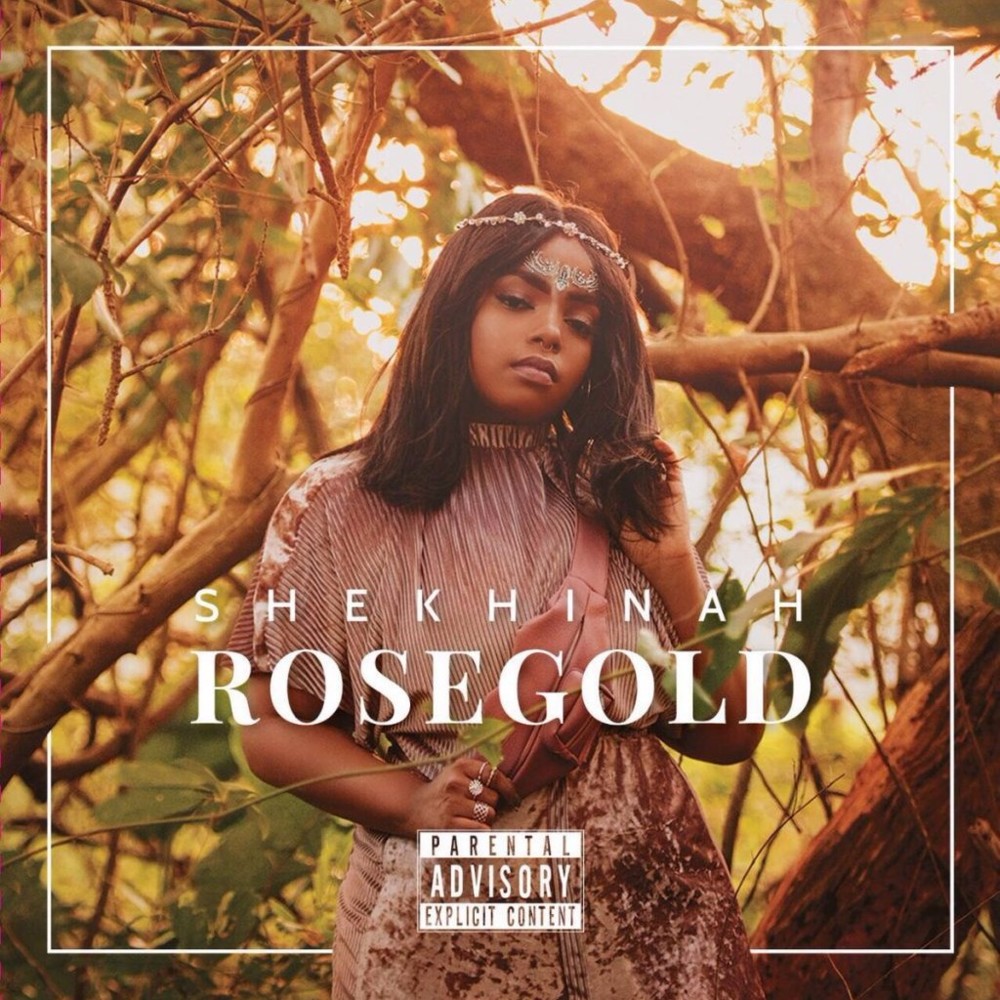Please Mr by Shekhinah