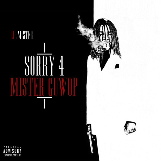 Cover image for Sorry 4 Mister Guwop