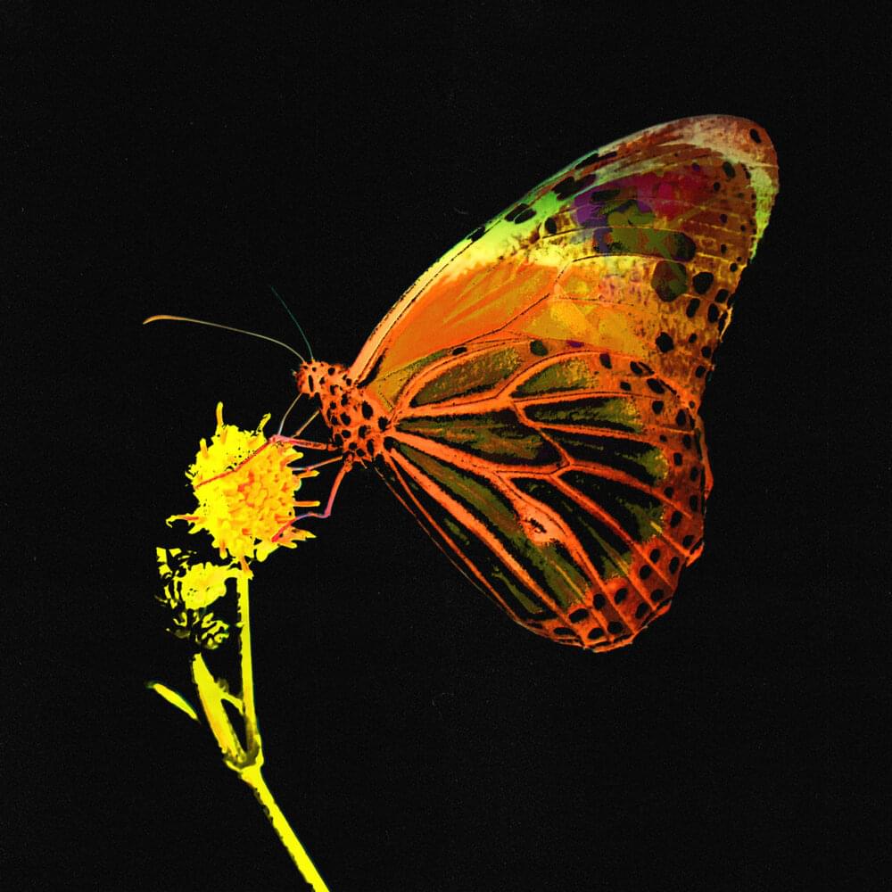 Album cover art for "Mariposa" by Pablo López