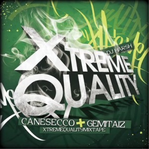 Album cover art for "Fan Culo" by Gemitaiz