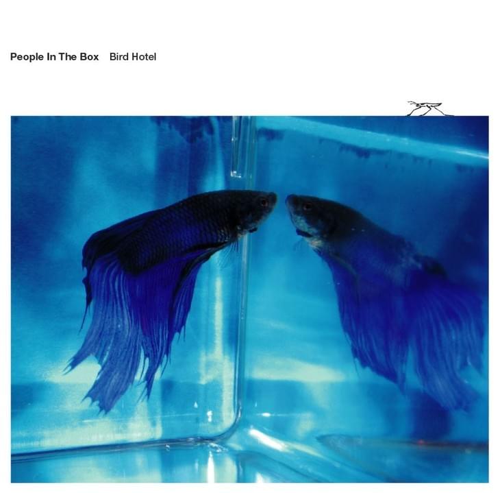 Cover image for Bird Hotel