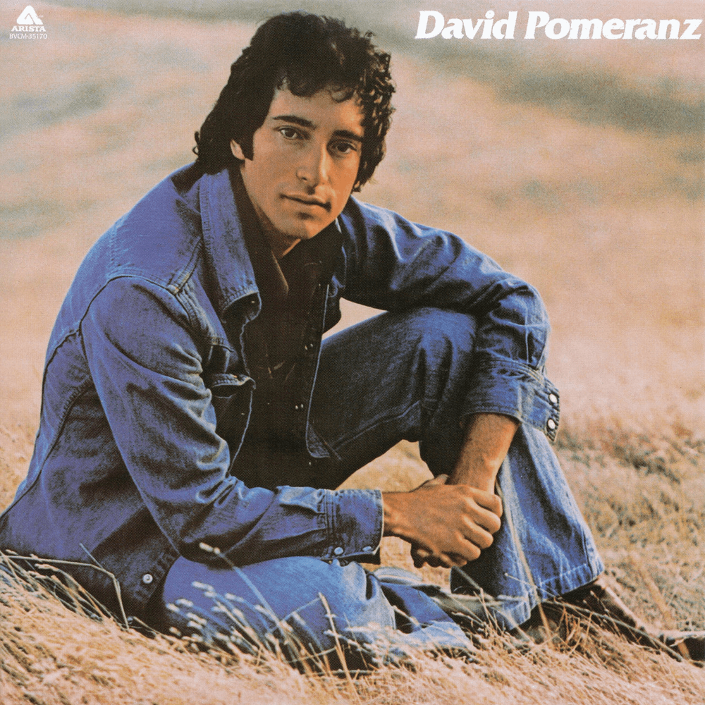 If You Walked Away by David Pomeranz