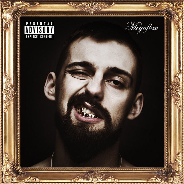 Cover image for Megaflex
