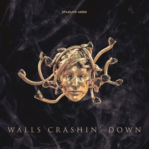 Album cover art for "Walls Crashin’ Down" by Phuture Noize