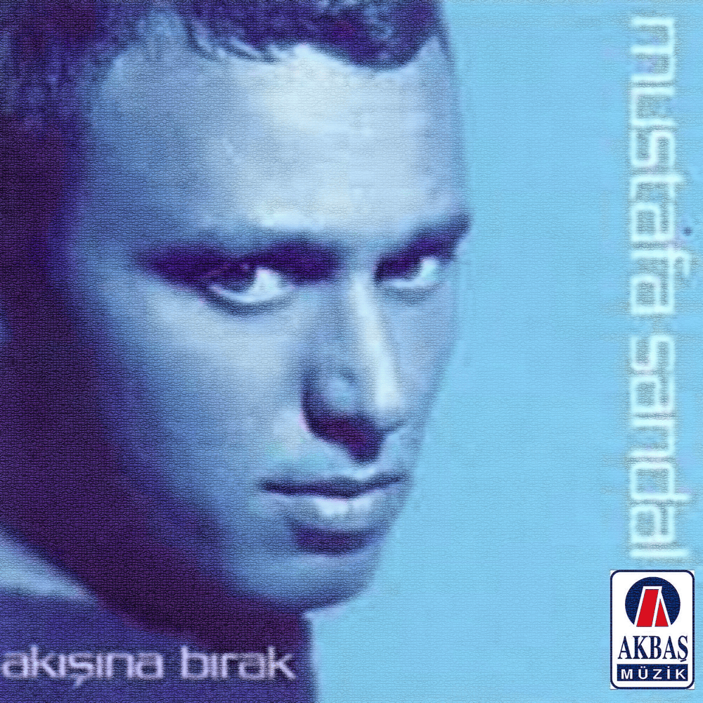 Cover image for Akışına Bırak