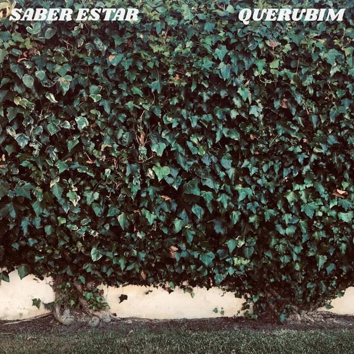 Cover image for Saber Estar