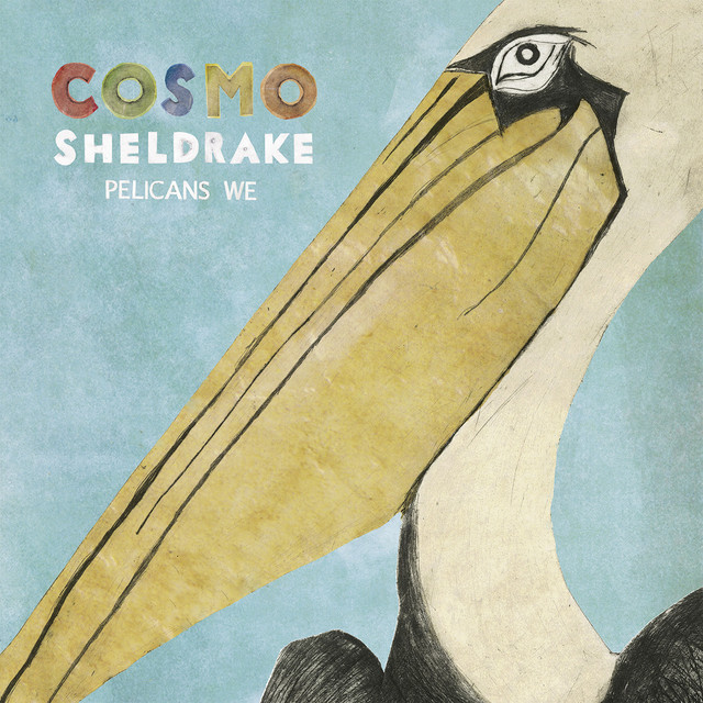 Pelicans We by Cosmo Sheldrake