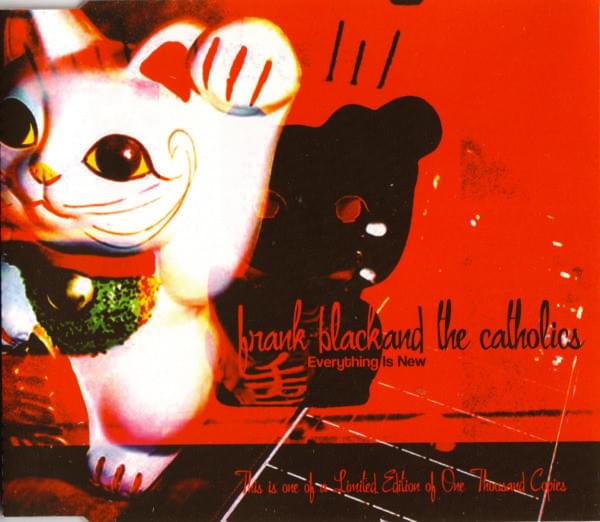 Cover image for Everything Is New