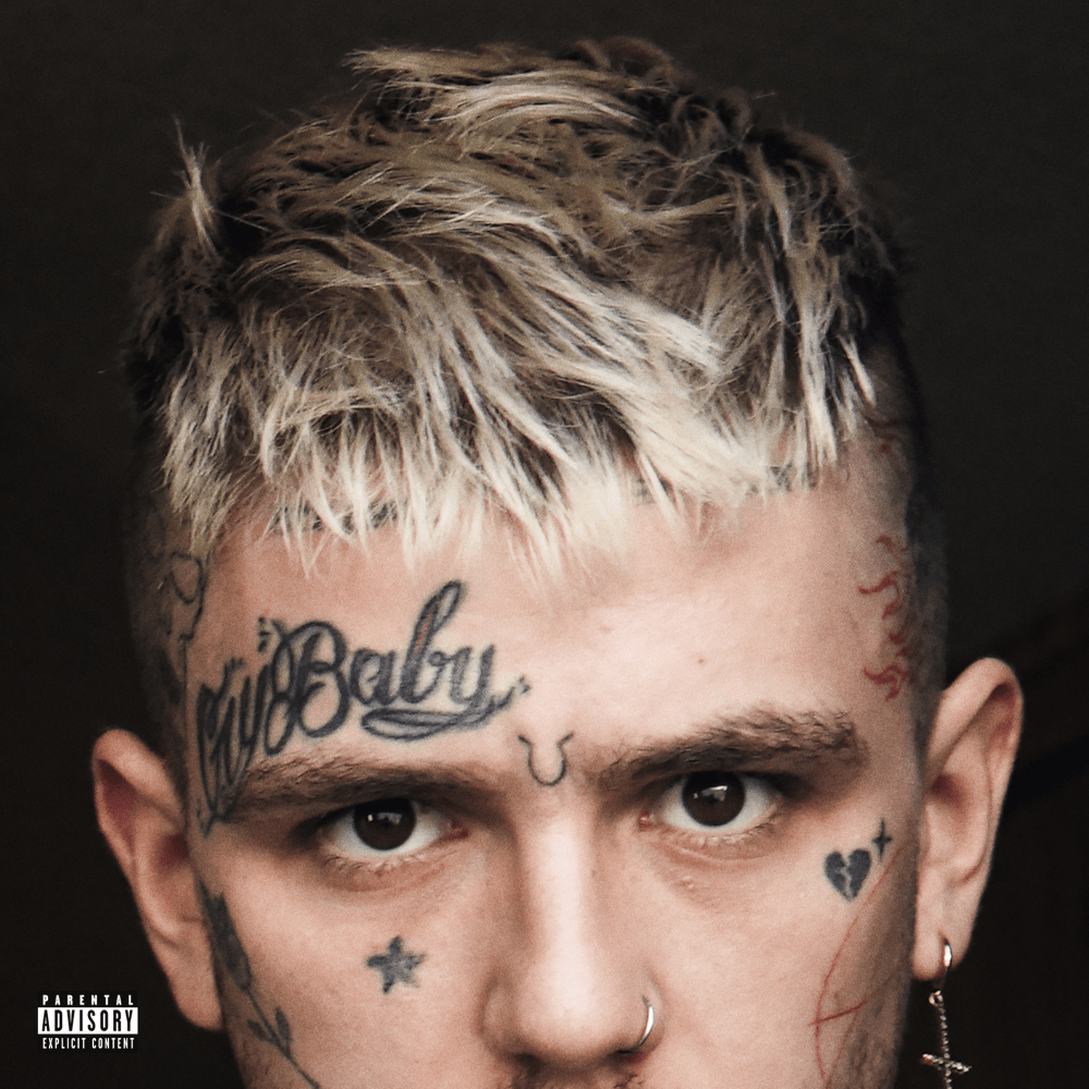 Cover image for EVERYBODY’S EVERYTHING