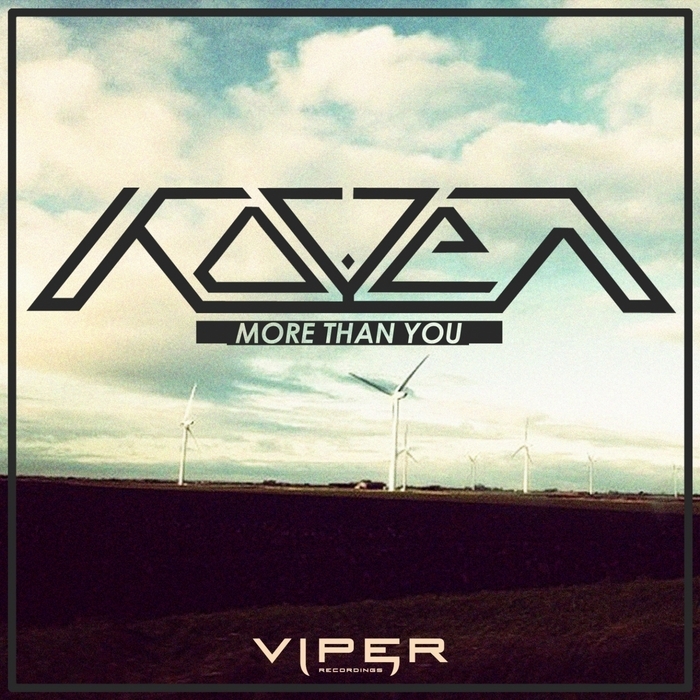 Cover image for More Than You