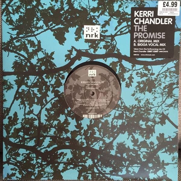 Cover image for The Promise