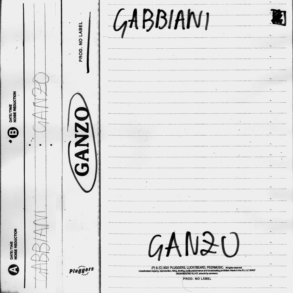 Gabbiani by Ganzo