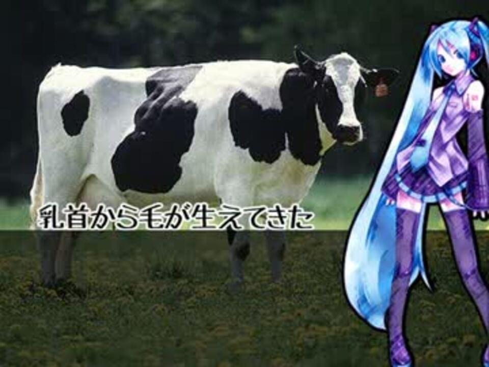 Album cover art for "乳首から毛が生えてきた (Chikubi Kara Ke Ga Haetekita)" by デッドボールP (Deadball-P) & 初音ミク (Hatsune Miku)