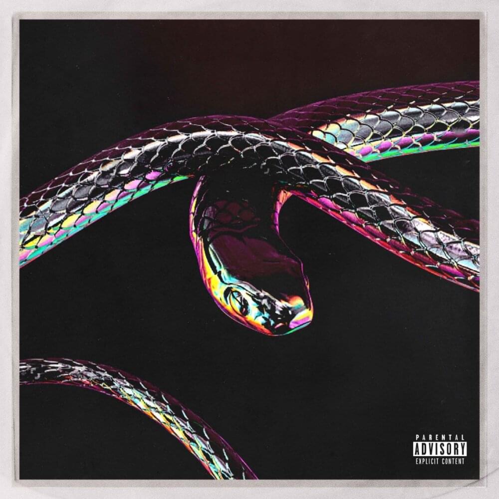 Album cover art for "Python" by AKA & Don Design & Moozlie