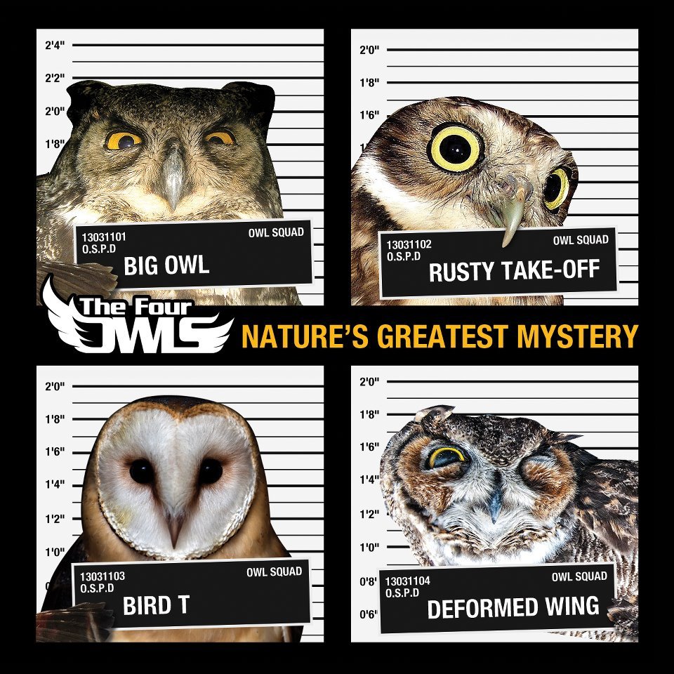 Life In The Balance by The Four Owls