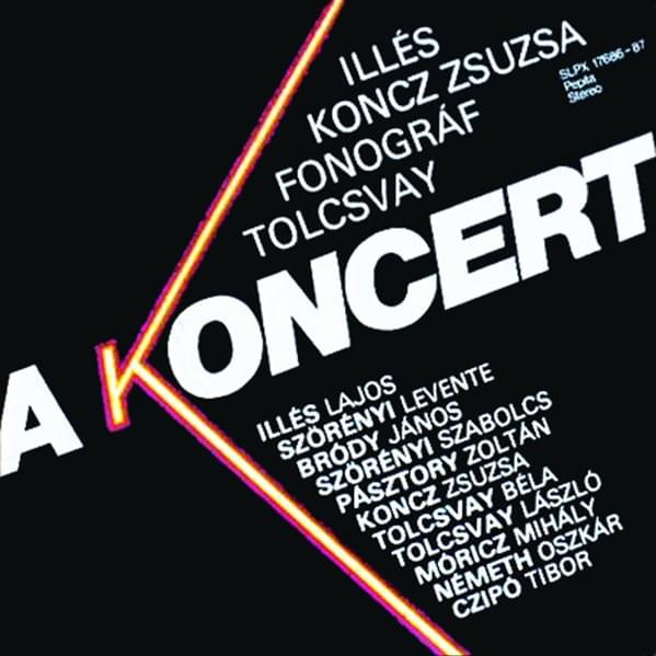 Cover image for A koncert