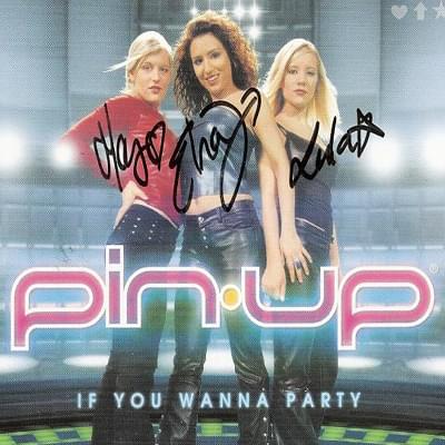 Album cover art for "If You Wanna Party" by McMusic (NOR)