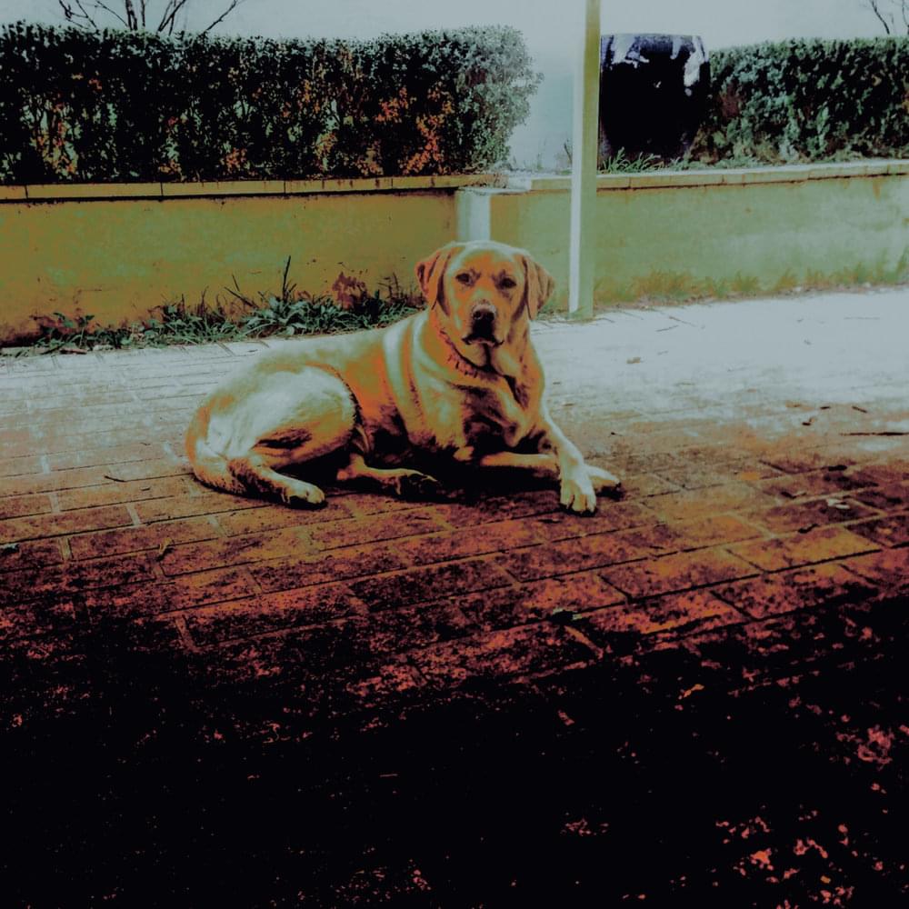 Album cover art for "Home" by Joeballs