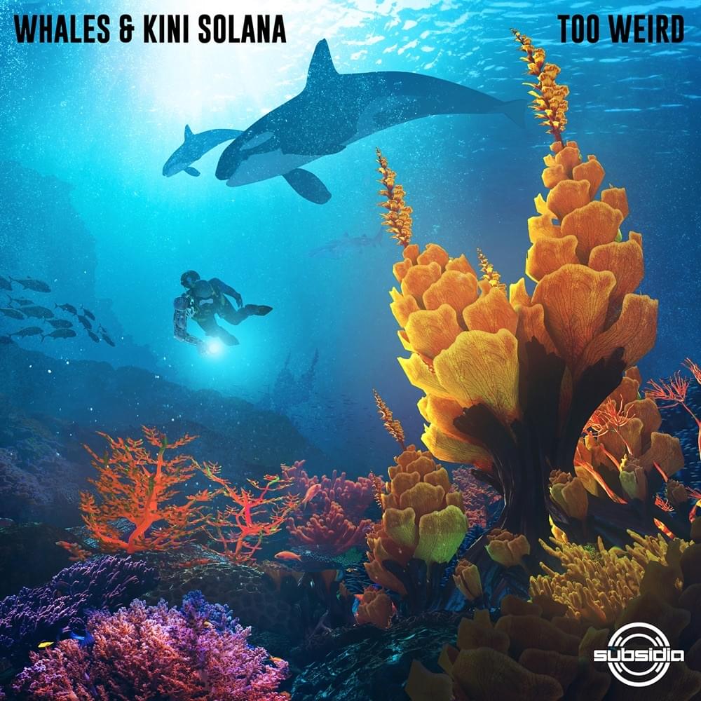 Album cover art for "Too Weird" by Whales