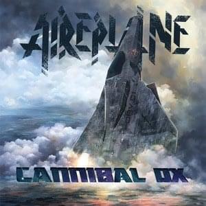 Cover image for Aireplane