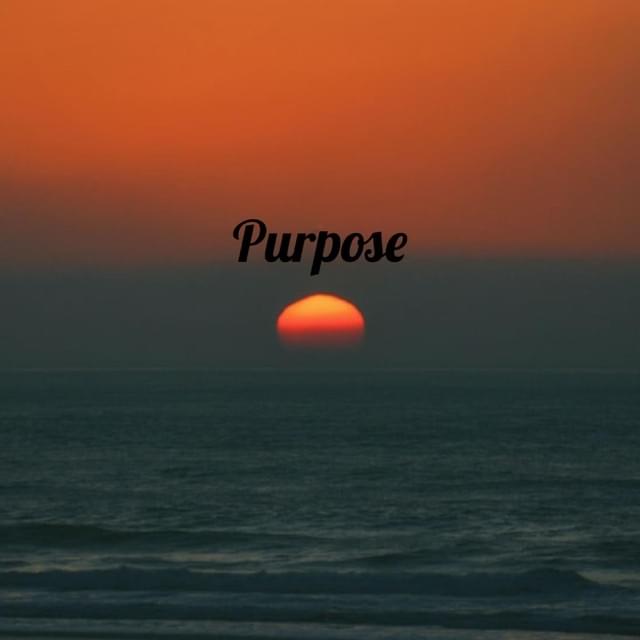 Album cover art for "Purpose" by ChewieCatt