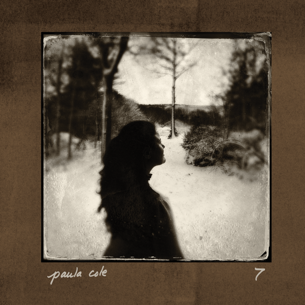 Album cover art for "New York City" by Paula Cole