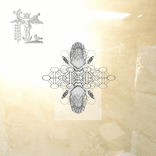 Album cover art for "tricky" by 2hollis