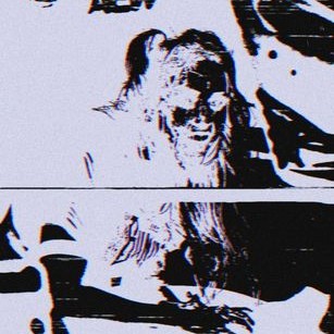 Cover image for SWAMPLORDS